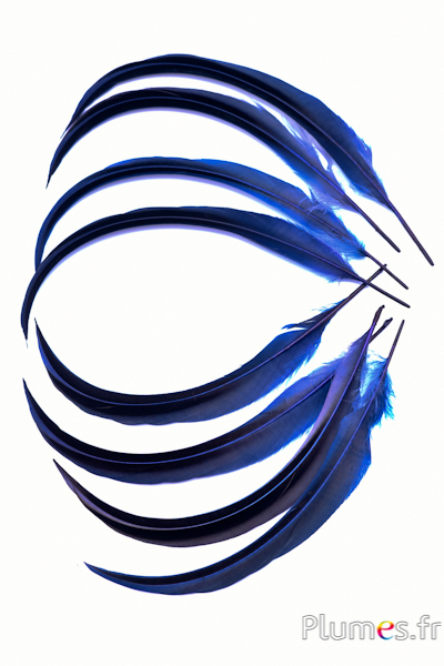 Canard Mandarin - 15-20 cm - bleu nuit